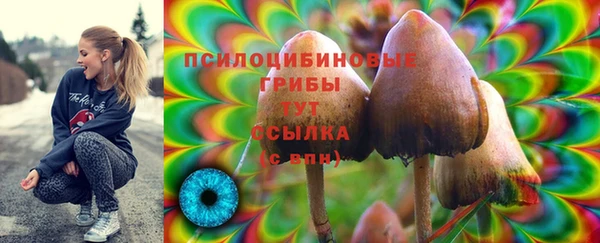 mdma Бородино